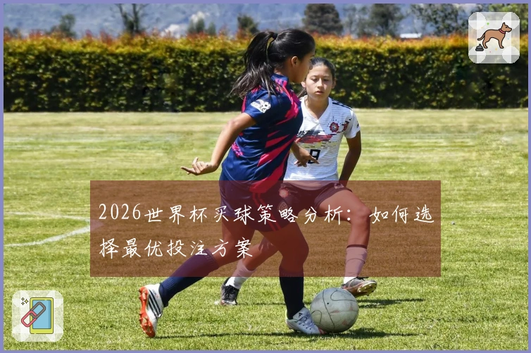 2026世界杯买球策略分析：如何选择最优投注方案