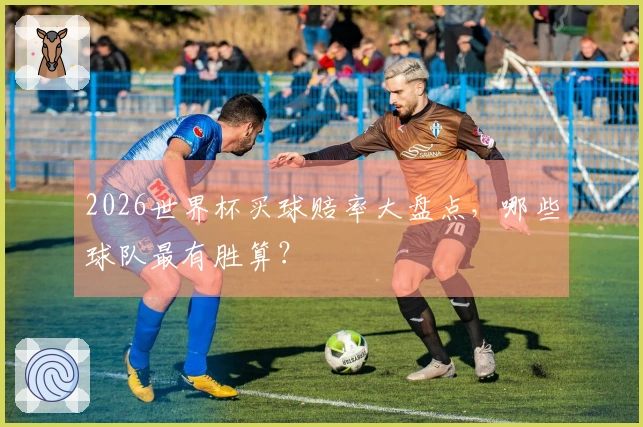 2026世界杯买球赔率大盘点，哪些球队最有胜算？