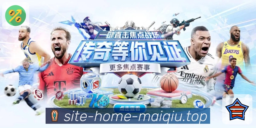 奖项证书